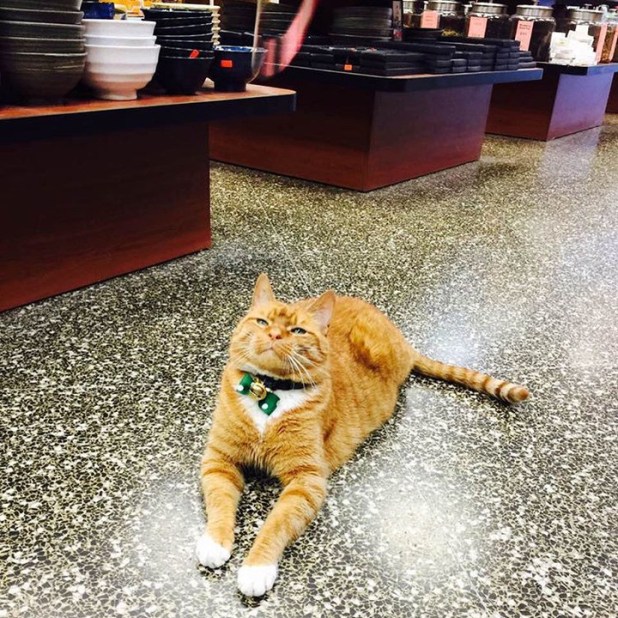 Fotó: Instagram (blikk.hu)