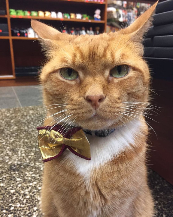 Fotó: Instagram (blikk.hu)