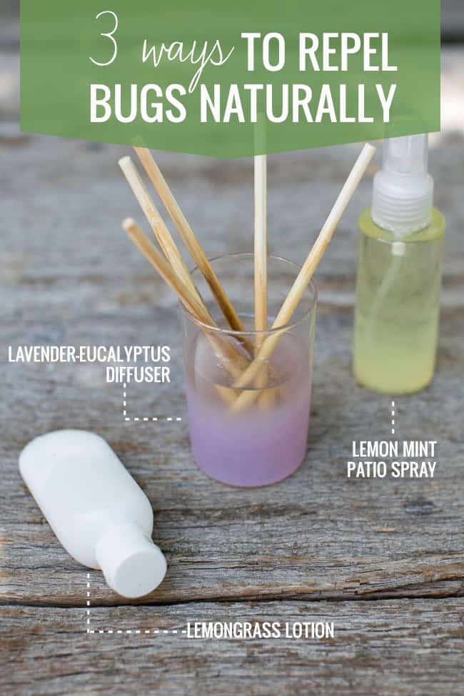 The best insect repellents keep the bugs away without too much effort on your part. 3 Ways to Repel Bugs Naturally | Hello Glow