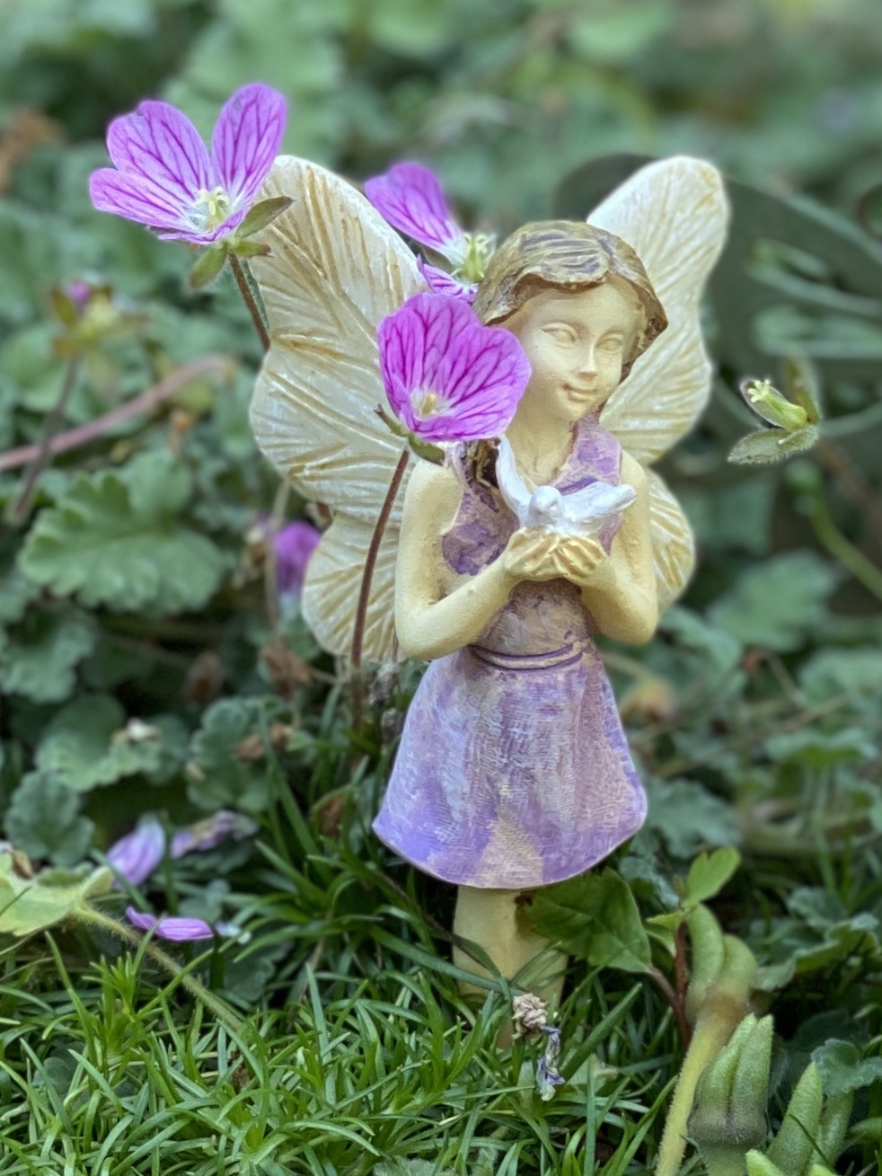 Fairies Flutter By Butterflies in this Garden Full of Winged