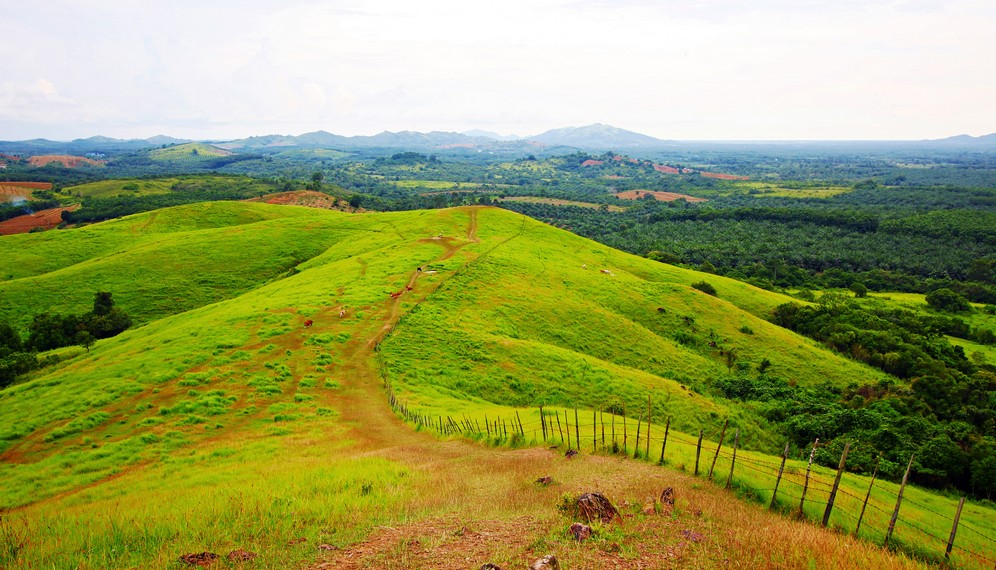 2714 / 5000 Hasil terjemahan Rimpi Hill, Teletubbies Hill, Pelaihari City, South Kalimantan