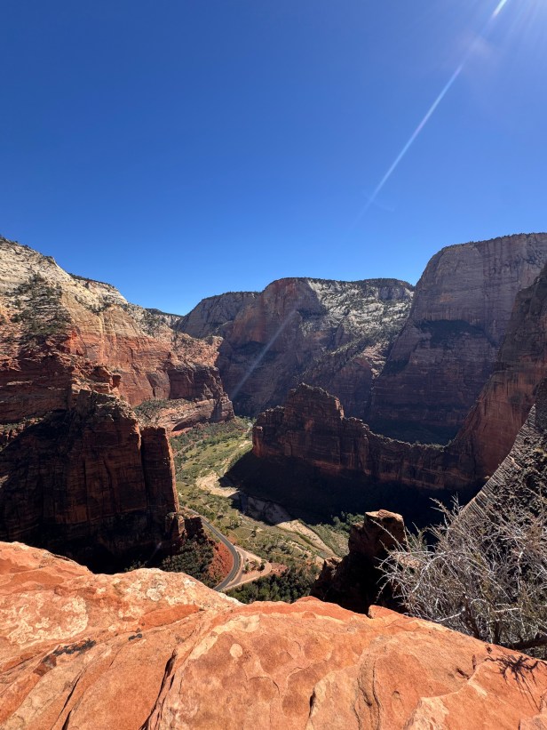 A panoramic view of Zion National Park, showcasing deep canyons and red rock formations under a clear blue sky.