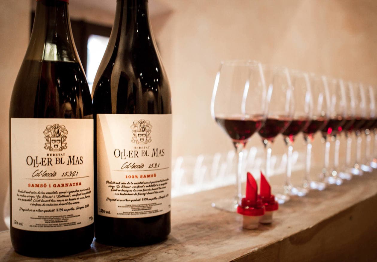 Private gourmet wine tasting tour in bages region. A Day Trip To Montserrat Wine Tasting In Castles With Castlexperience