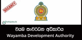 Director General Job Vacancies 2026 – Wayamba Development Authority