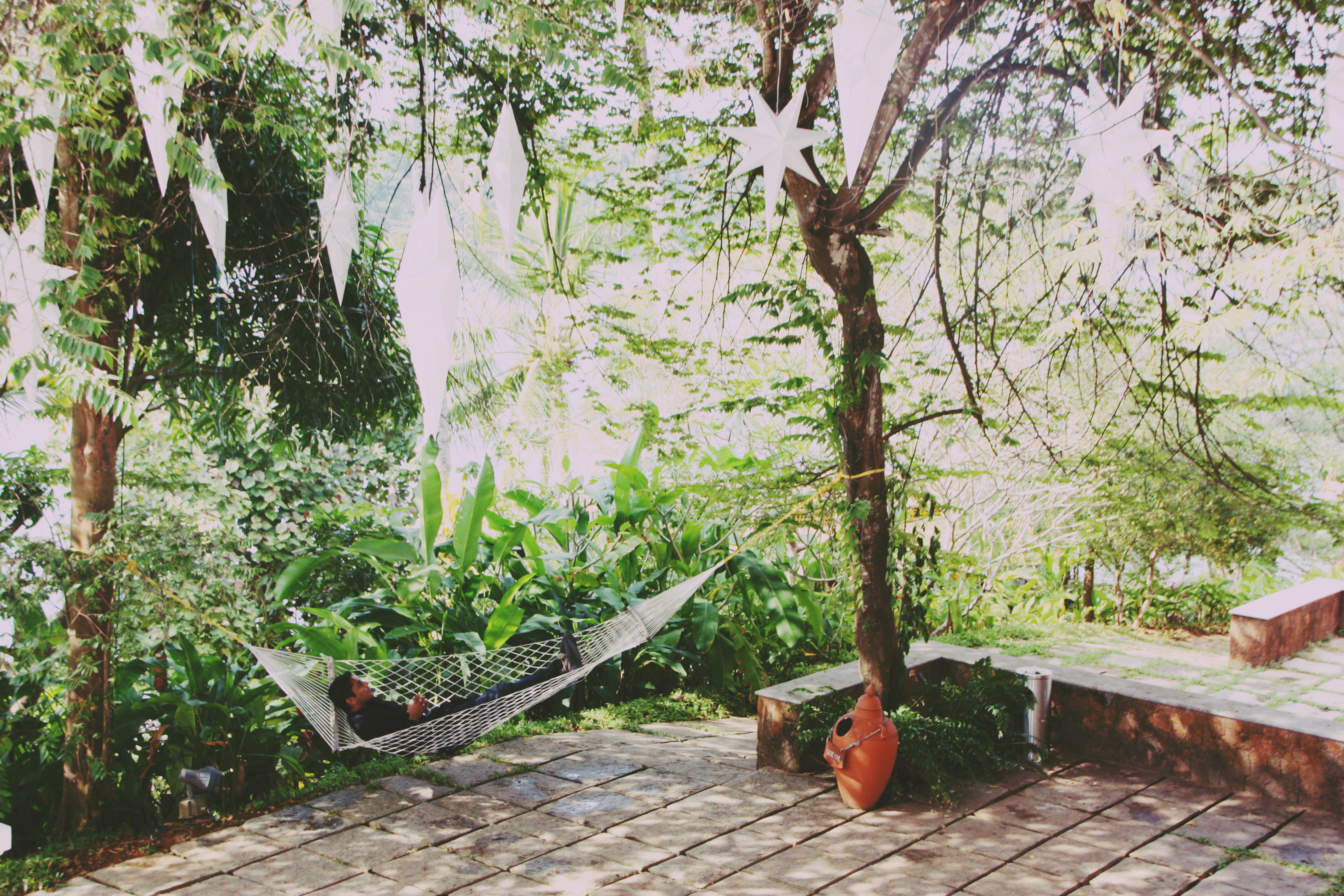 Sleeping under paper stars