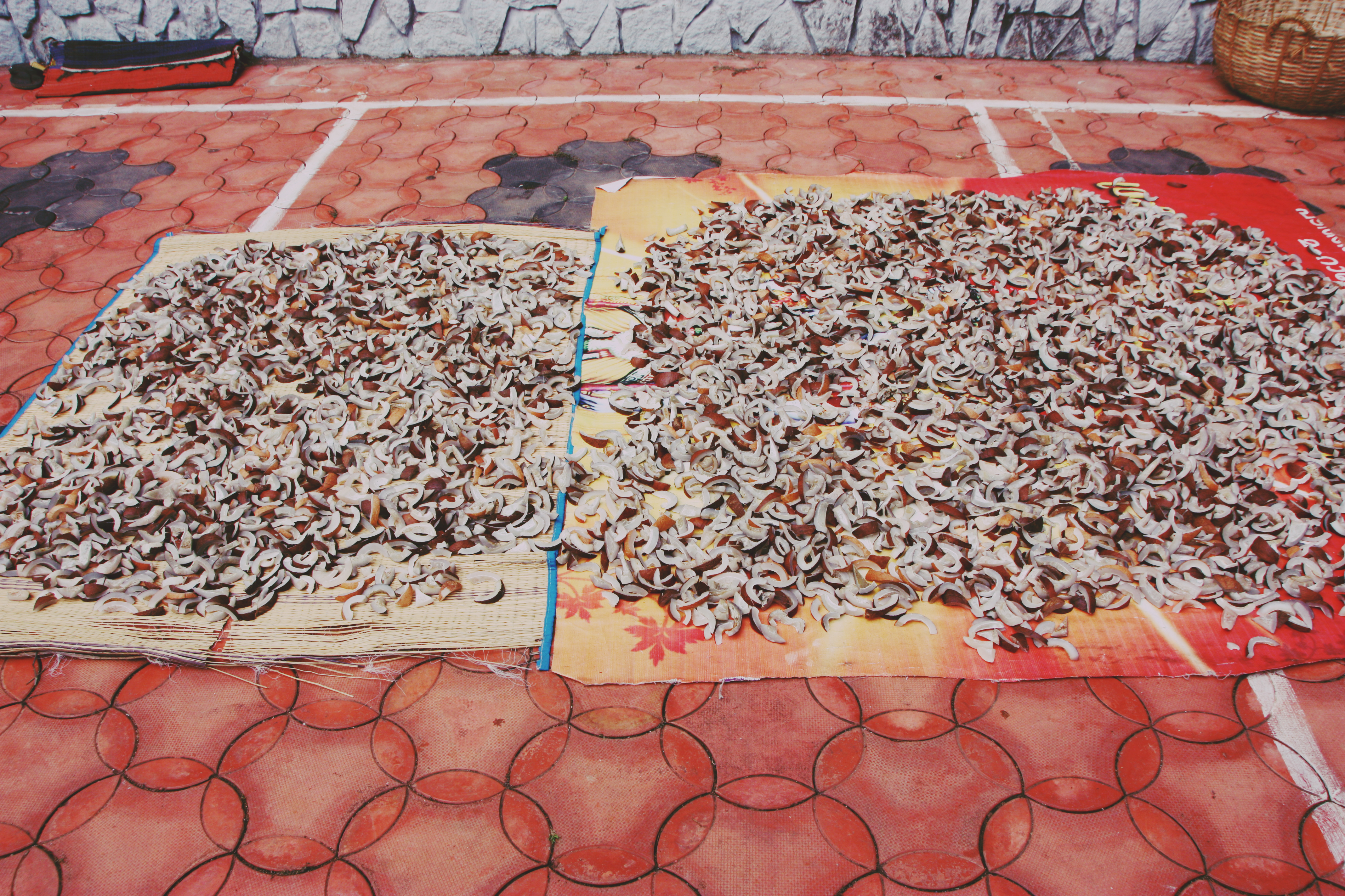Drying coconuts to make coconut oil