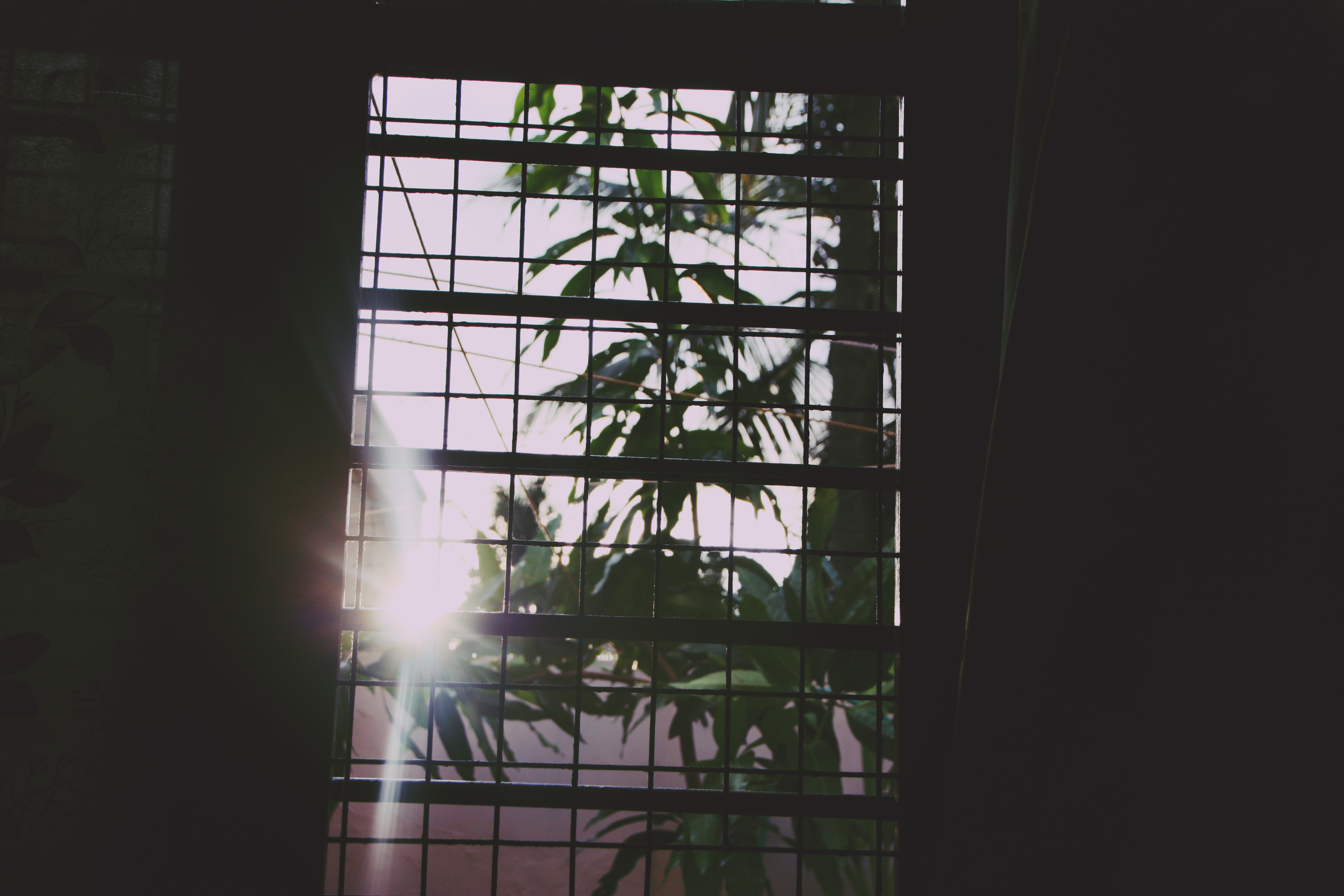 After the afternoon rain