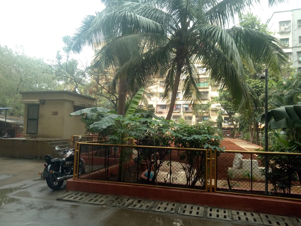 Mumbaikars wake up to light rains IMD predicts drop in temperature to 15-16 deg Celsius