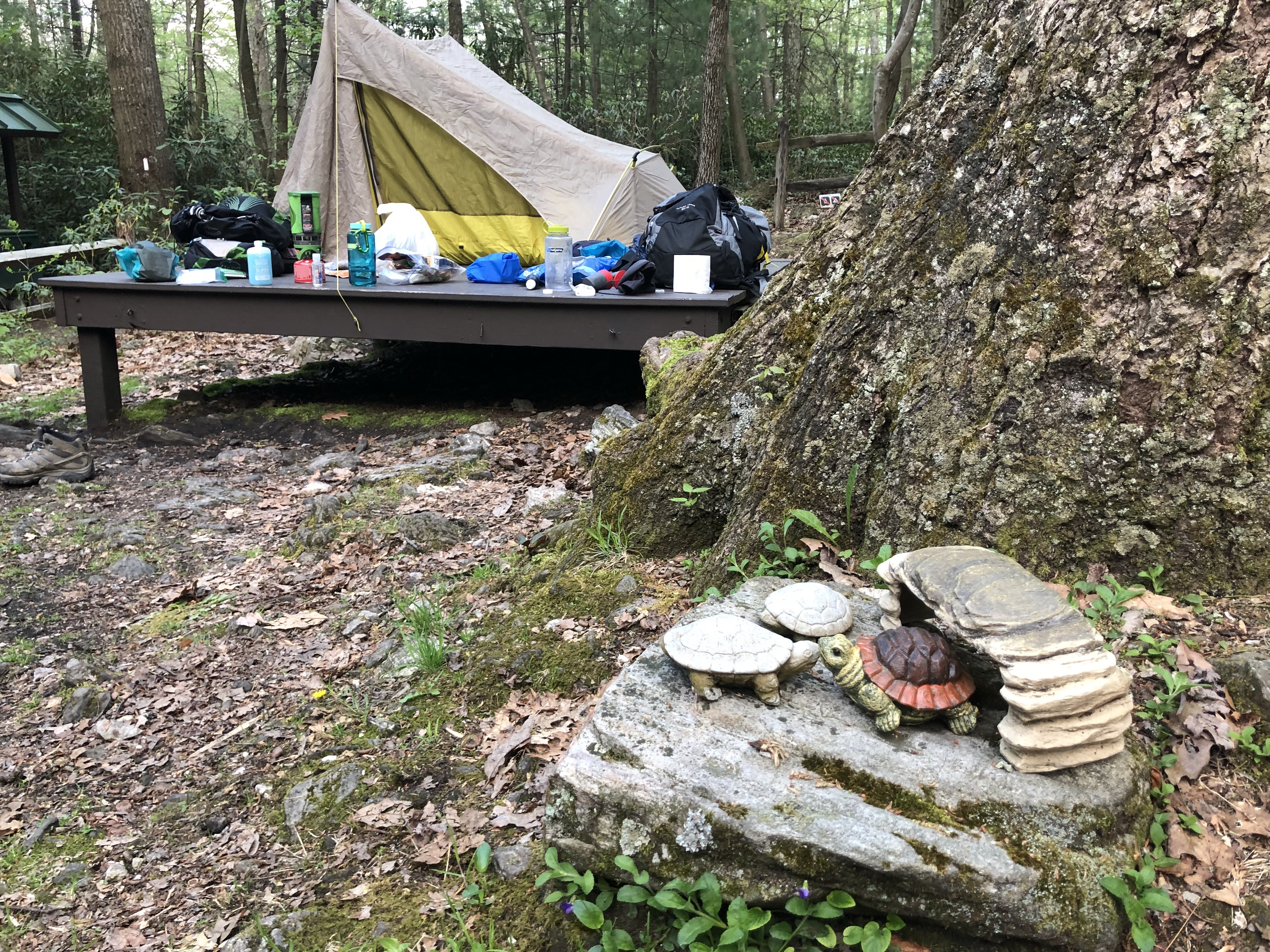Day 72: Quarry Gap Shelter – Hello Neiman