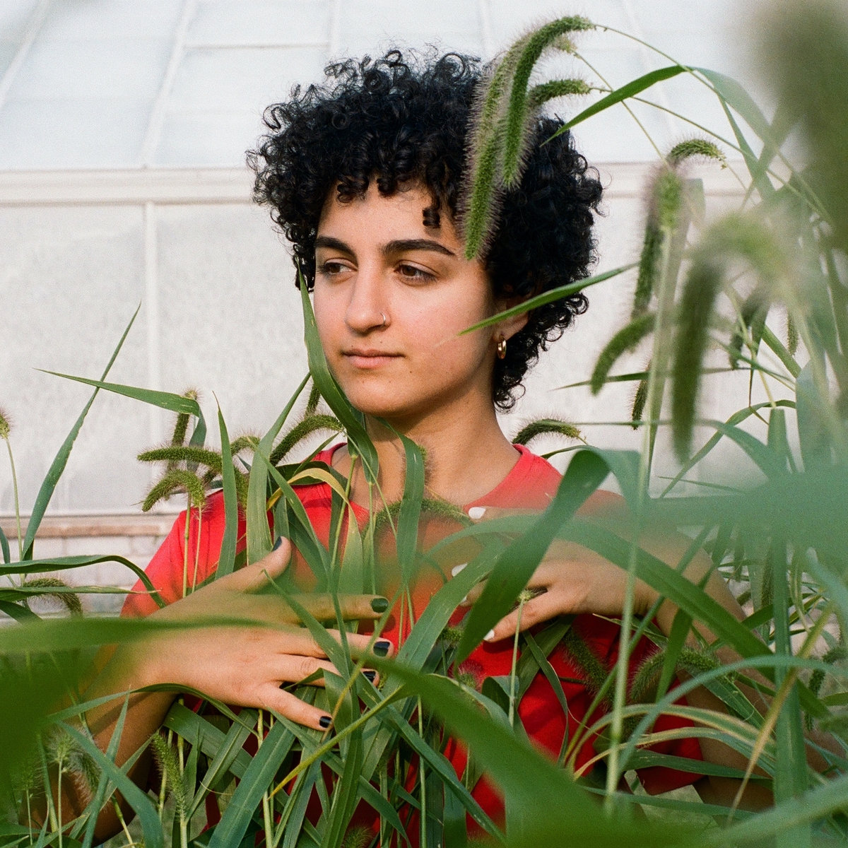 Noticing Tammy Lakkis