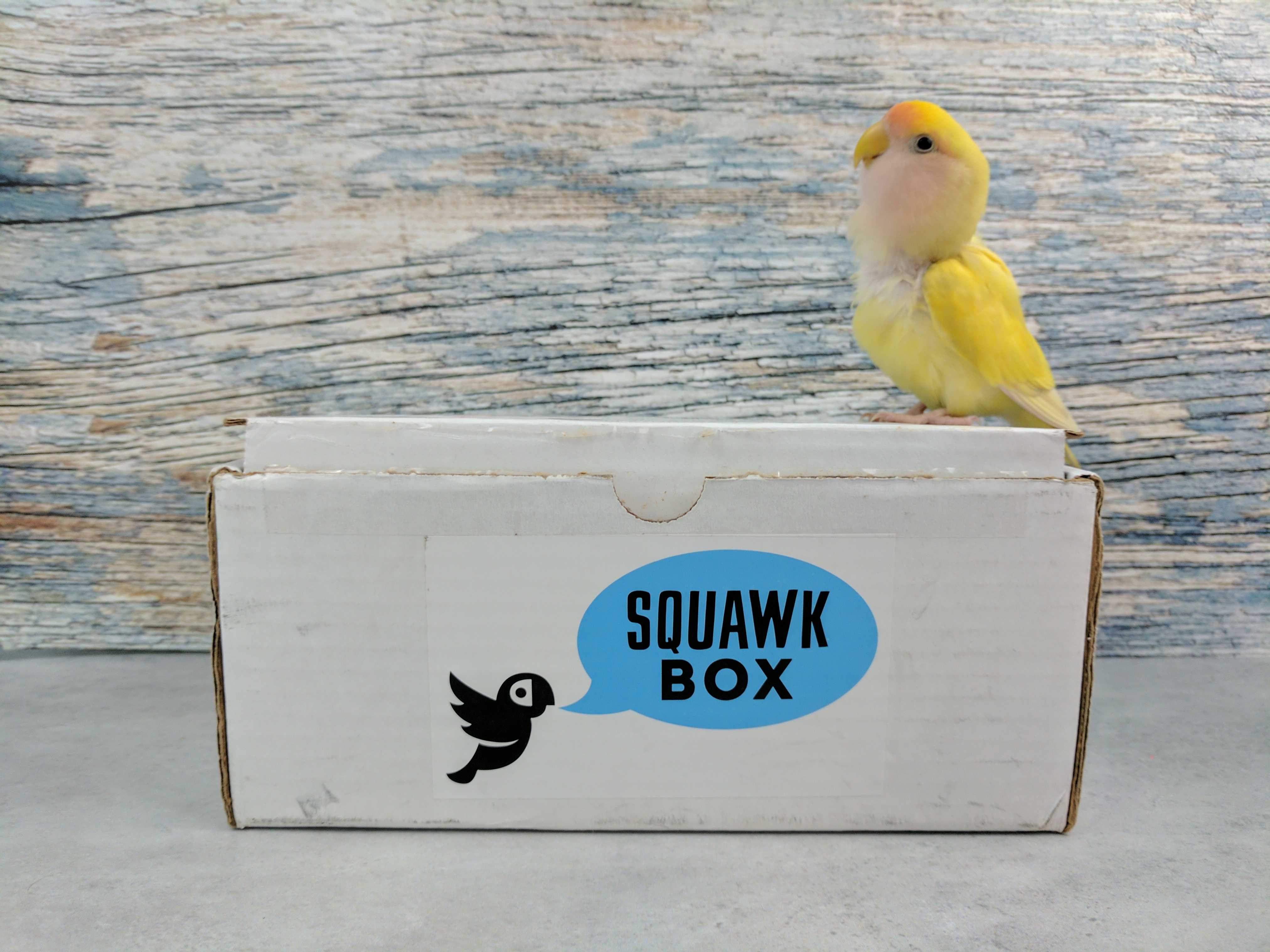 Squawk Box Subscription Box For Birds - Vintage Pattern Collection - HD Quality