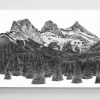 Landscape Canvas - All Designs