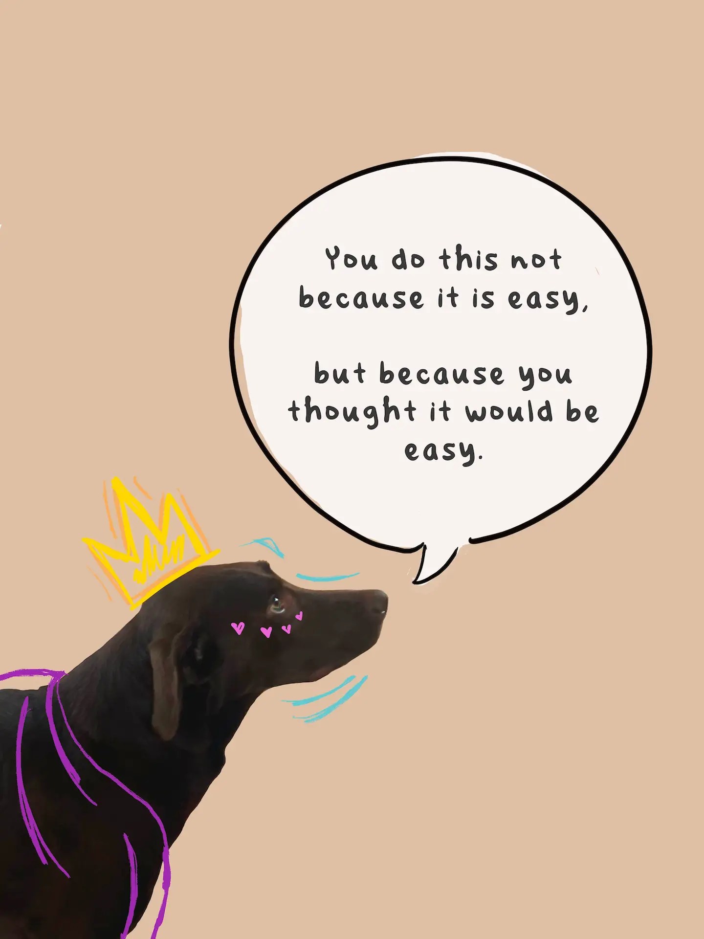 Moony the chocolate lab says "You do this not because it is easy. But because you thought it would be easy."