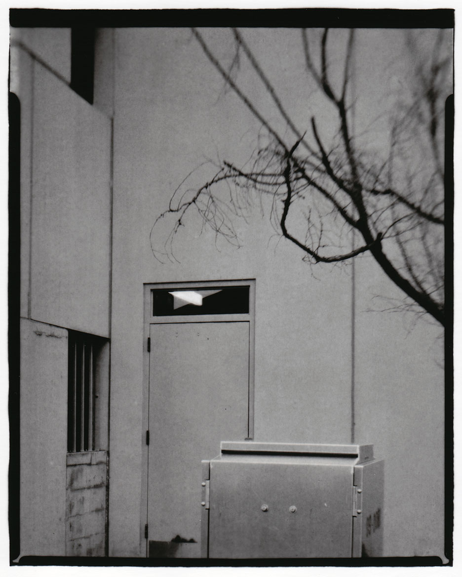 Parking Garage, Tree, and Light