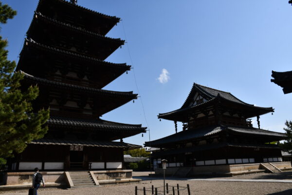1日で全部巡る奈良斑鳩の世界遺産、法隆寺、法起寺、薬師寺、唐招提寺