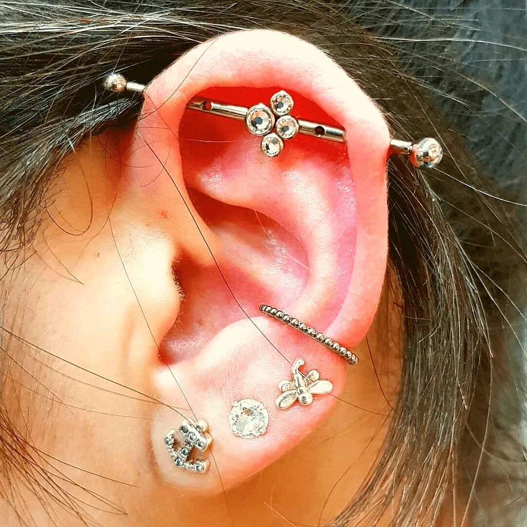 Colocando piercing e tatuagem intimas Pin Auf Bodymodification