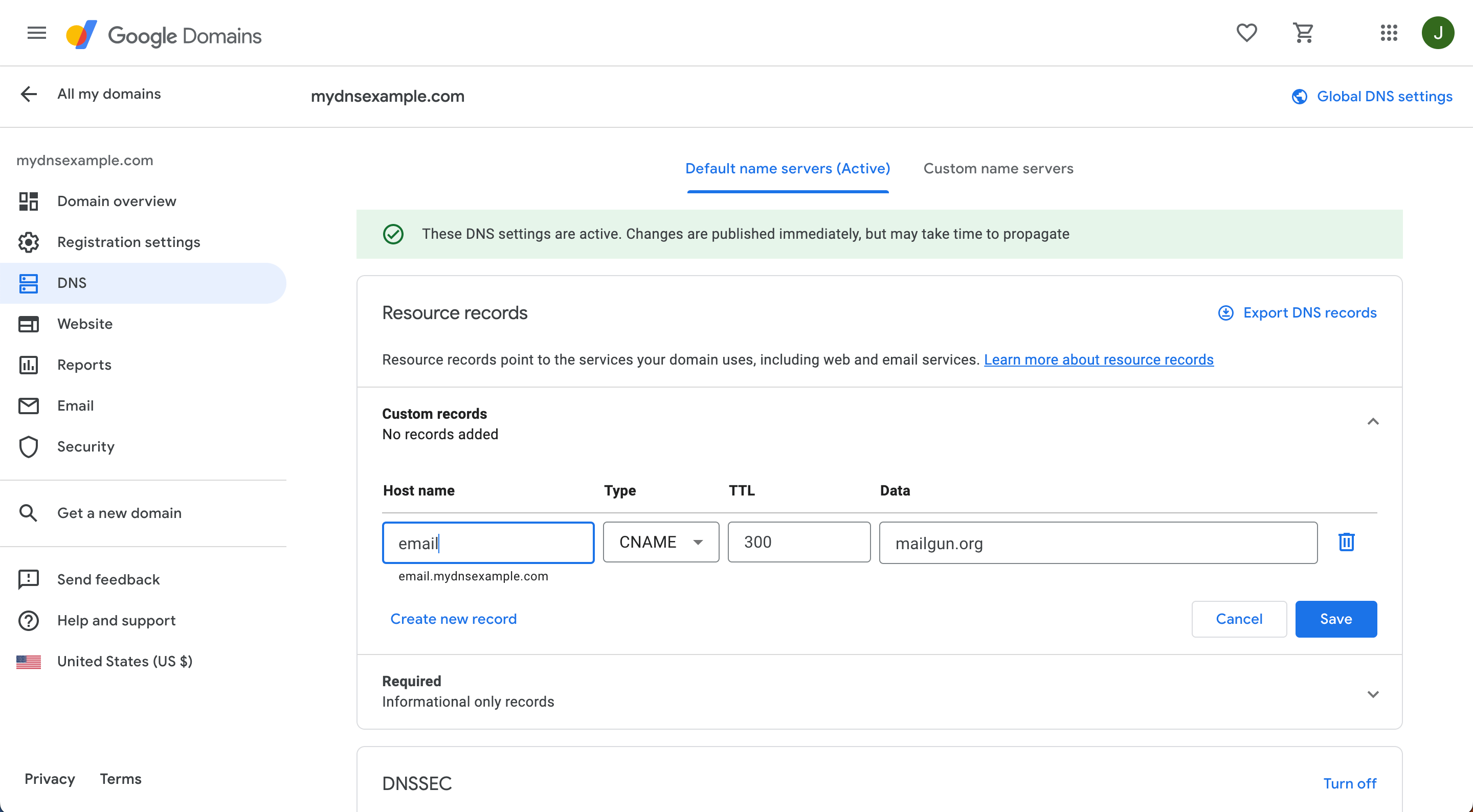 Google Domains DNS Setup Guide – Mailgun Help Center