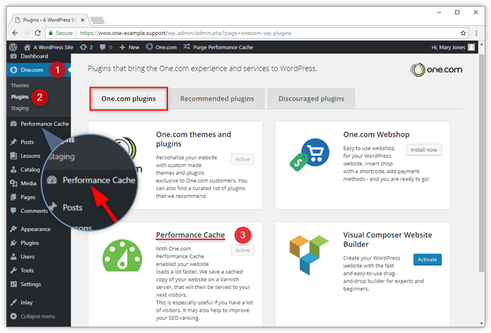 With its 20 different options to review, it does require some technical expertise to configure. How To Use The Performance Cache Plugin For Wordpress Support One Com