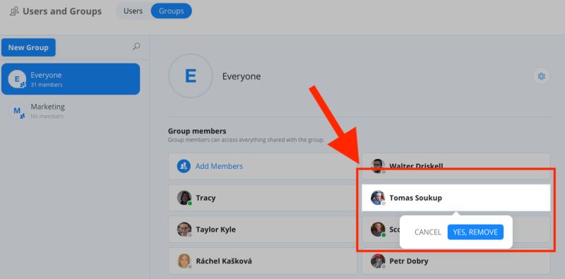 Create And Use User Groups Samepage Help Center - Light Patterns - Elegant 4K Collection