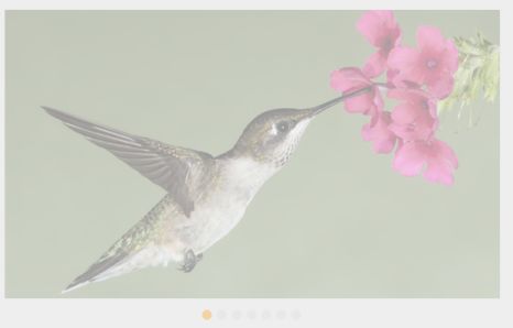 Behavior Settings Rotator Asp Net Webforms Syncfusion - Full HD Light Illustrations for Desktop