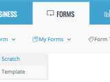 Create Form Wiseback