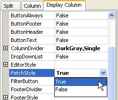 Truedbgrid Cell Style Various Input Format Winforms Edition - Premium Abstract Illustration Gallery - High Resolution