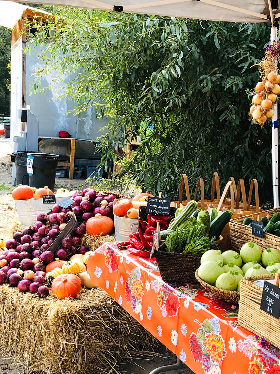 Common Roots Farm