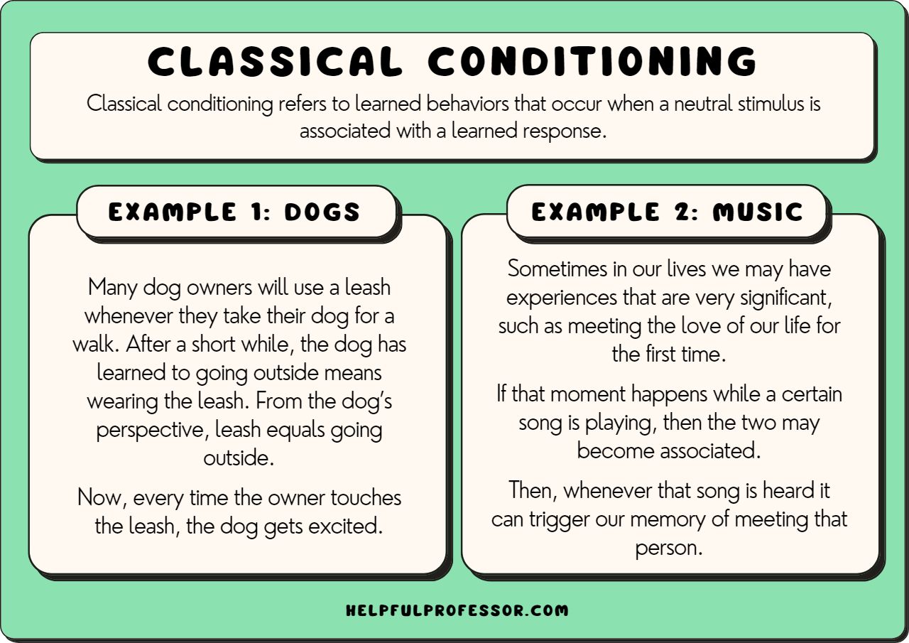 Classical conditioning v operant conditioning at alana toomey blog