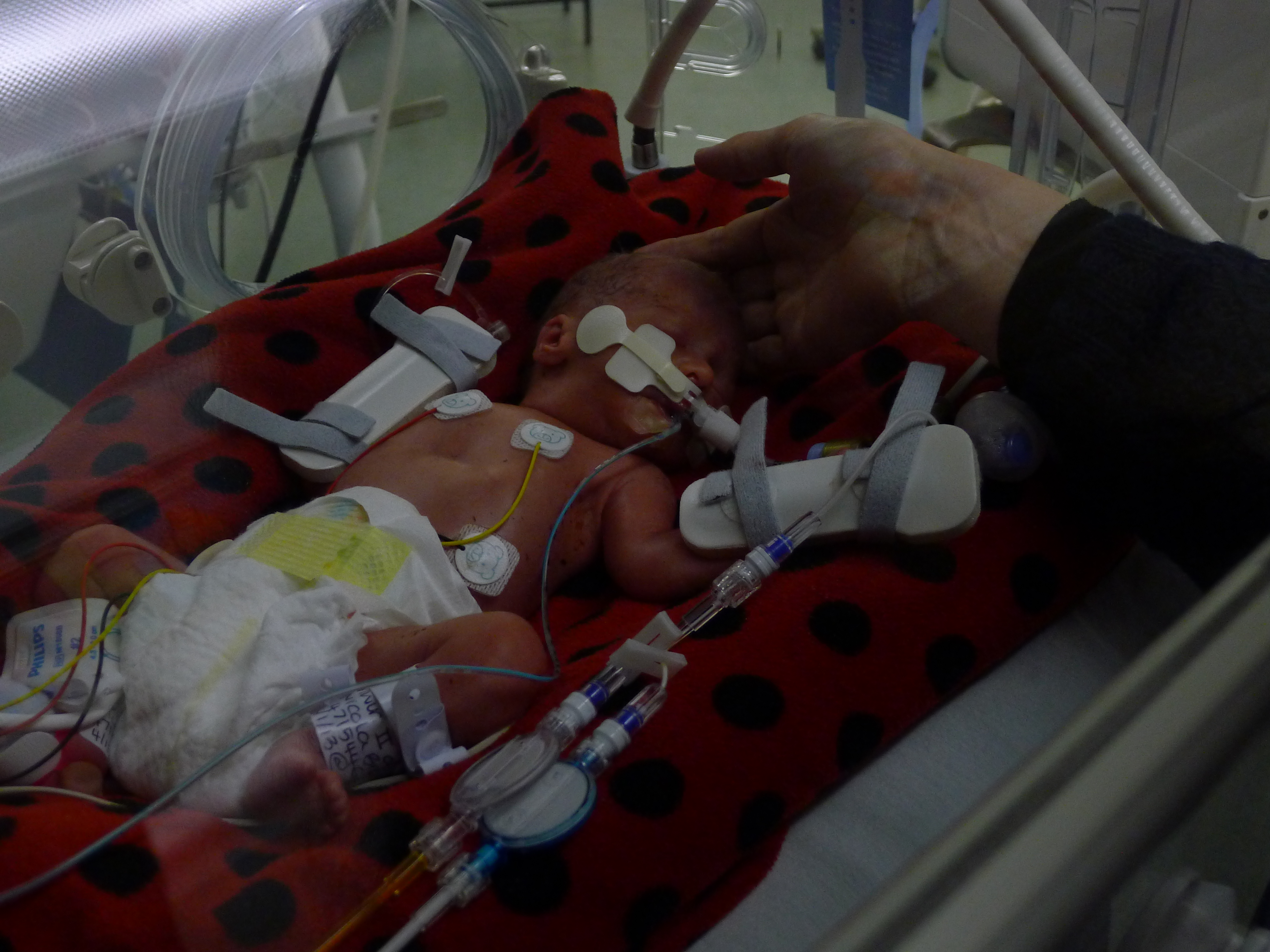 Dylan Andrew Balmer - 2llbs 15ozs