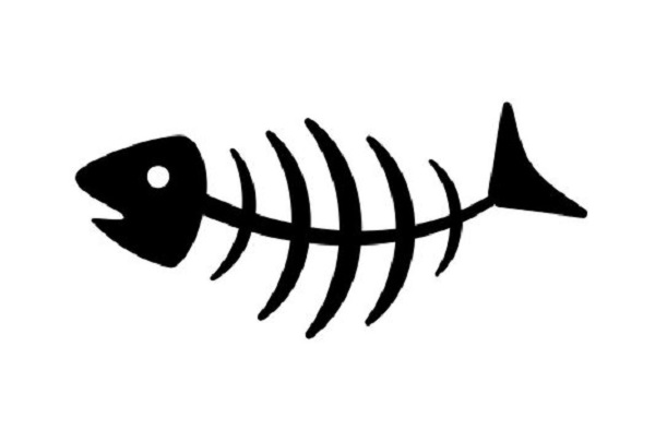 Do fish have a backbone? you will be surprised