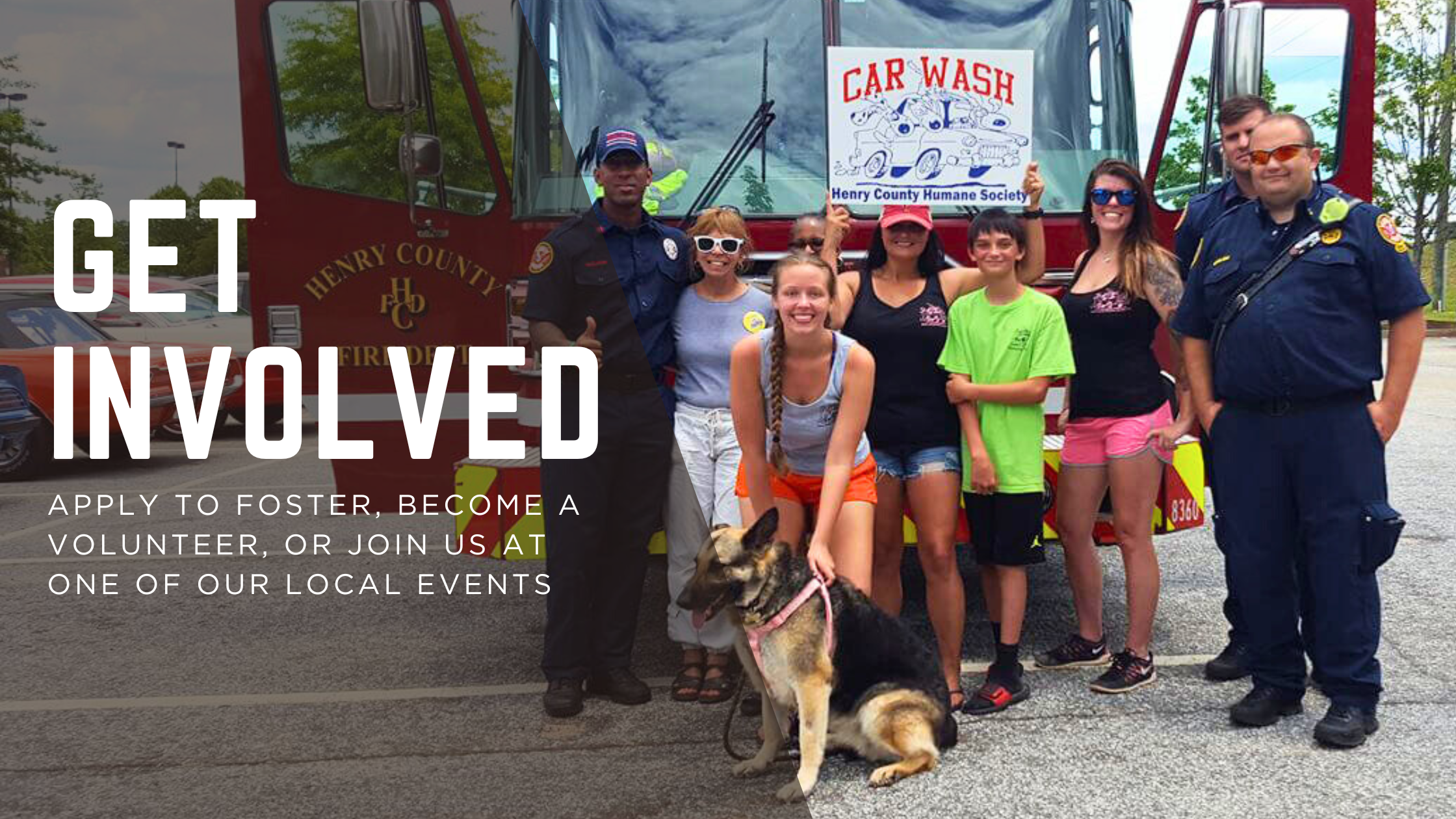 Get Involved graphic: Apply to Foster, become a volunteer, or join us at one of our local events