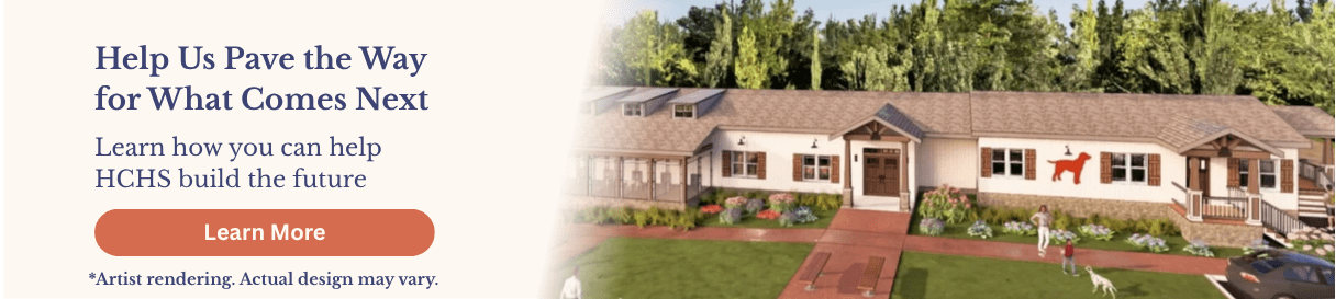 Pave the Way Banner with artist rendering of new shelter