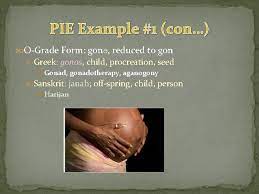 PIE