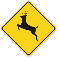 deer-crossing