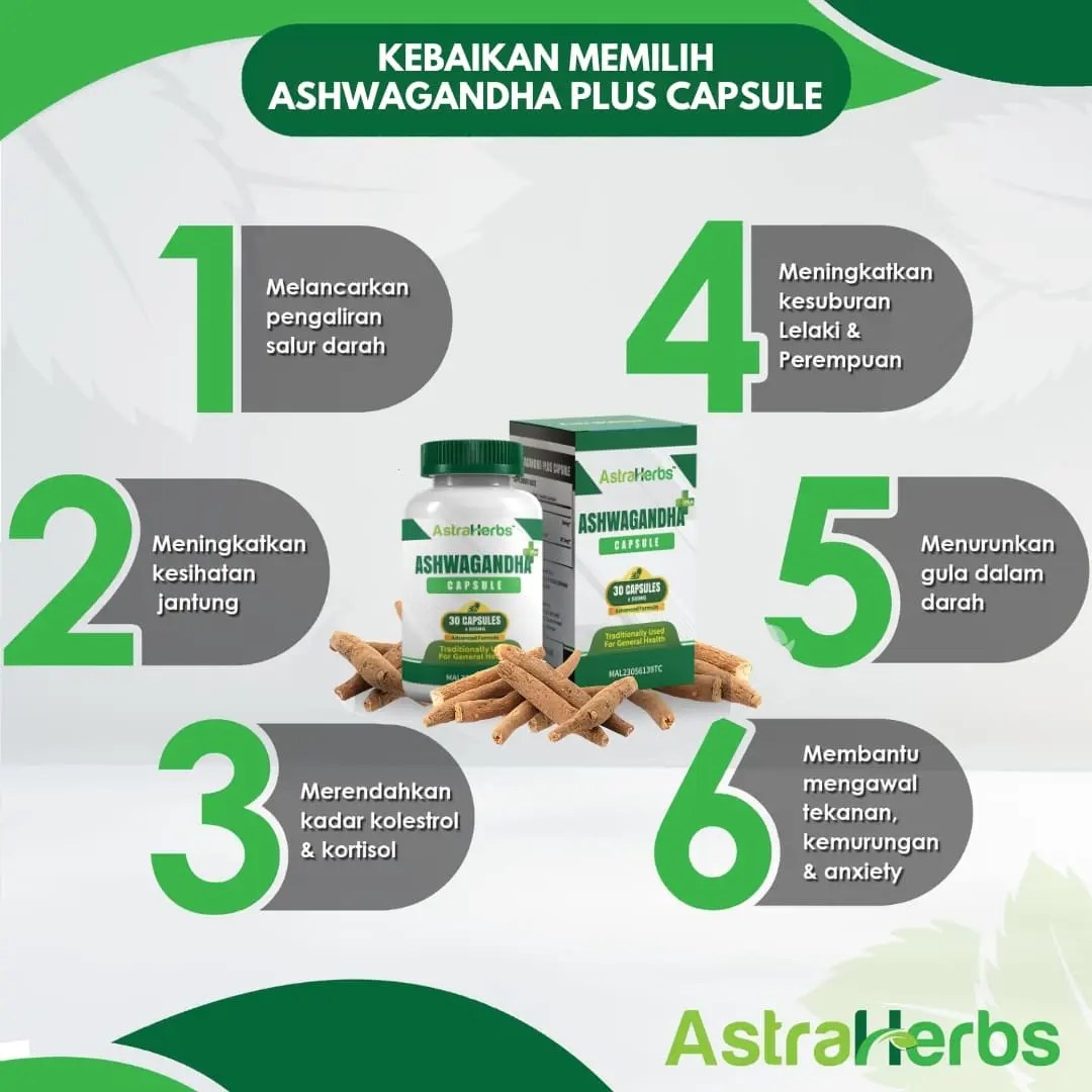 ashwagandha plus kebaikan