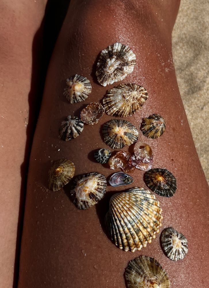 Creating Hormonal Harmony: The Soft Habits I’m Starting This July