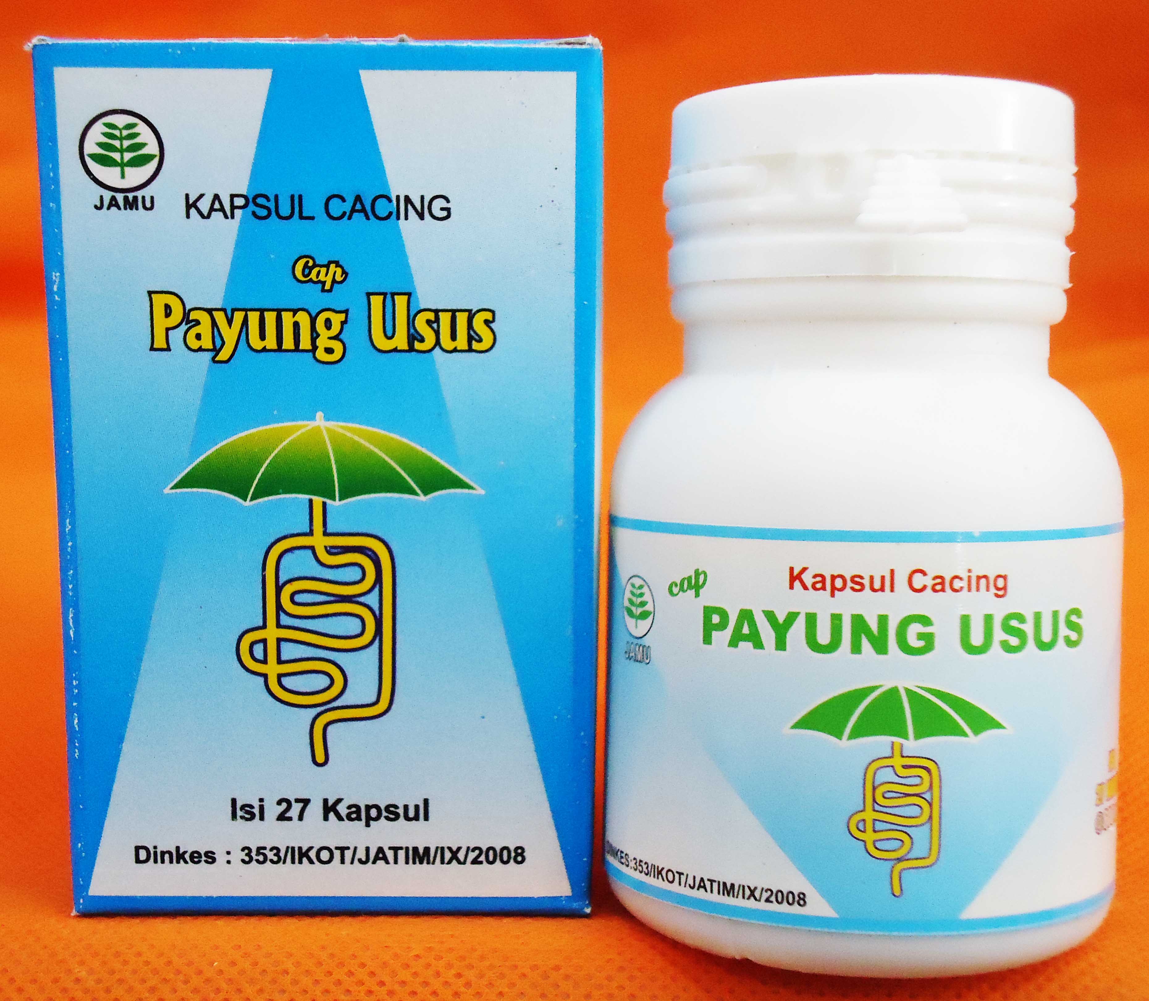 Kapsul Cacing Untuk Penyakit Tifus Gerai Aas Herbal