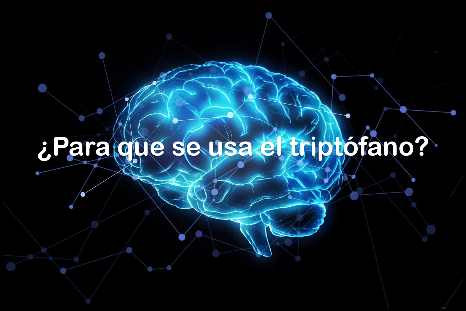 En este momento estás viendo ¿Para que se usa el triptófano?