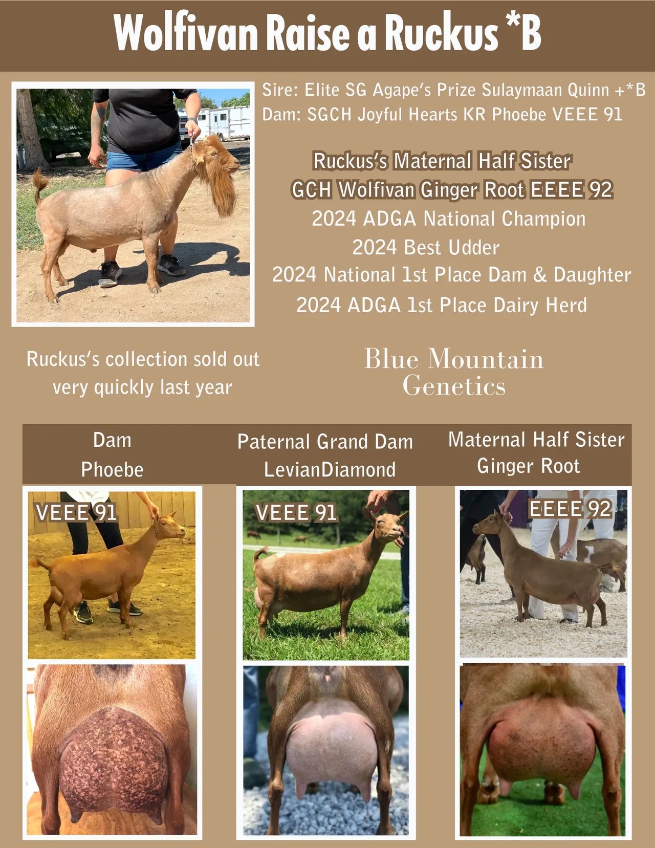 Ruckus Ad at Blue Mountain