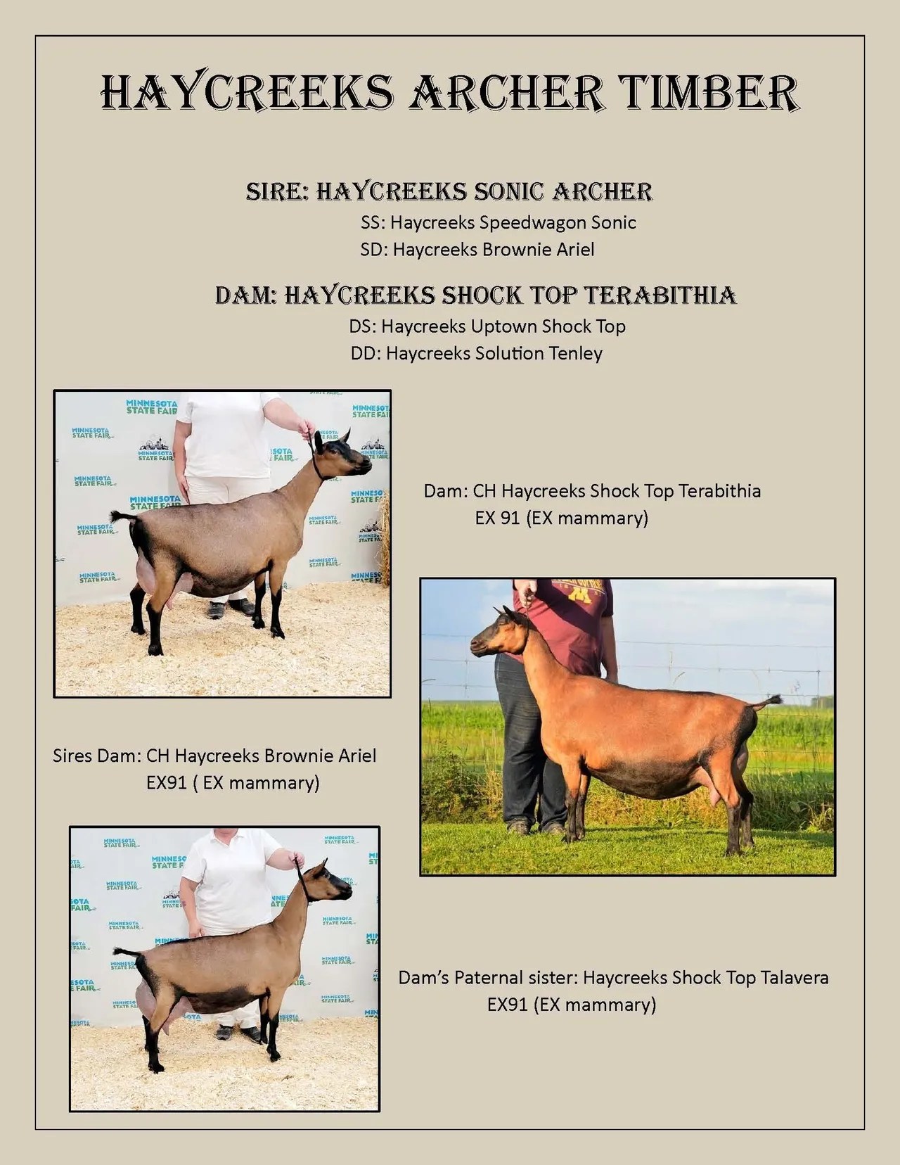 Timber Ad at Blue Mountain