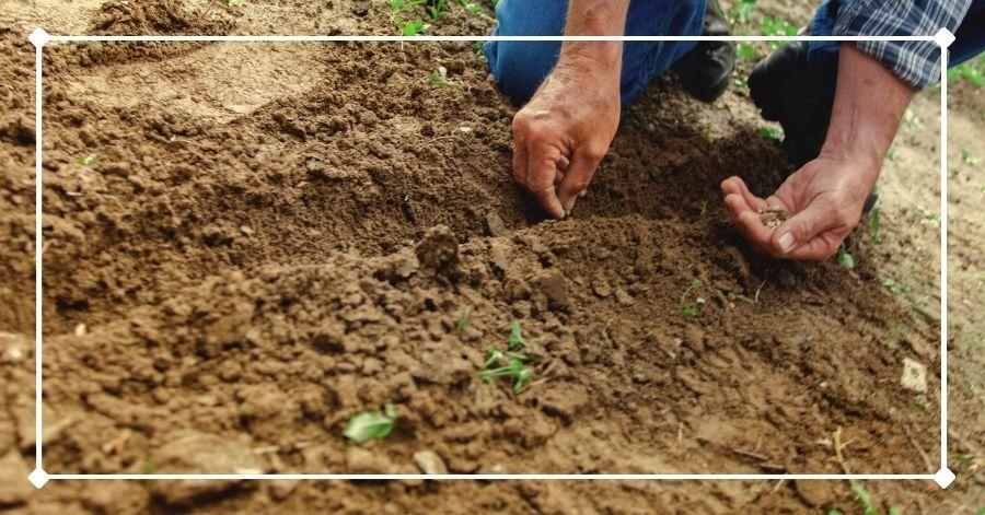 Characteristics of soil types include this one, with a man putting seeds in a furrow in a vegetable garden