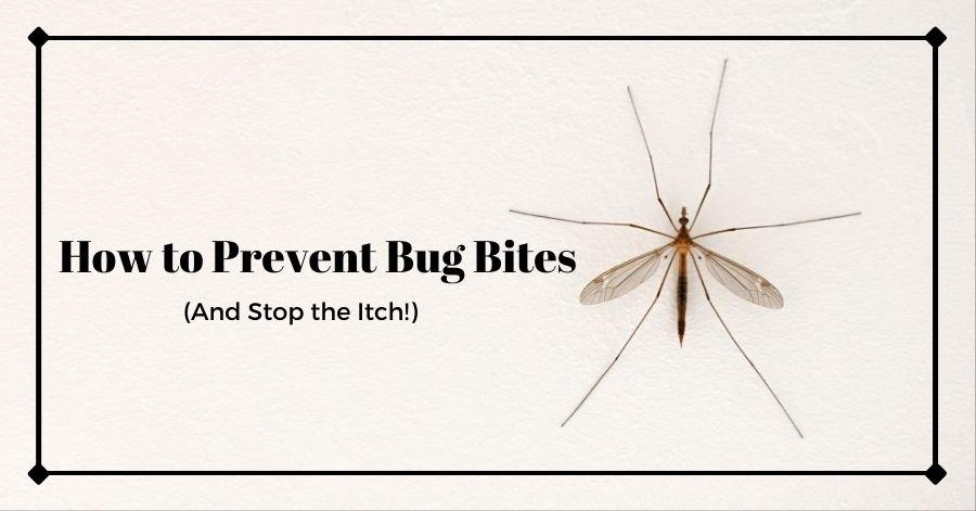 Mosquito on wall with text: How to Prevent Bug Bites (And Stop the Itch!)