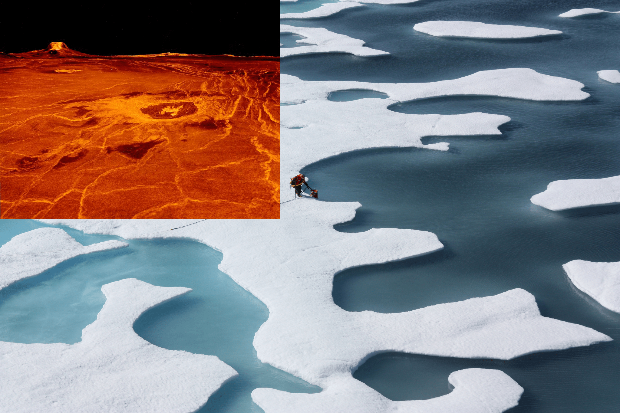 Will Trump cause extinction level event?