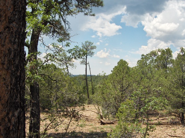 Cibola National Forest Five private acres