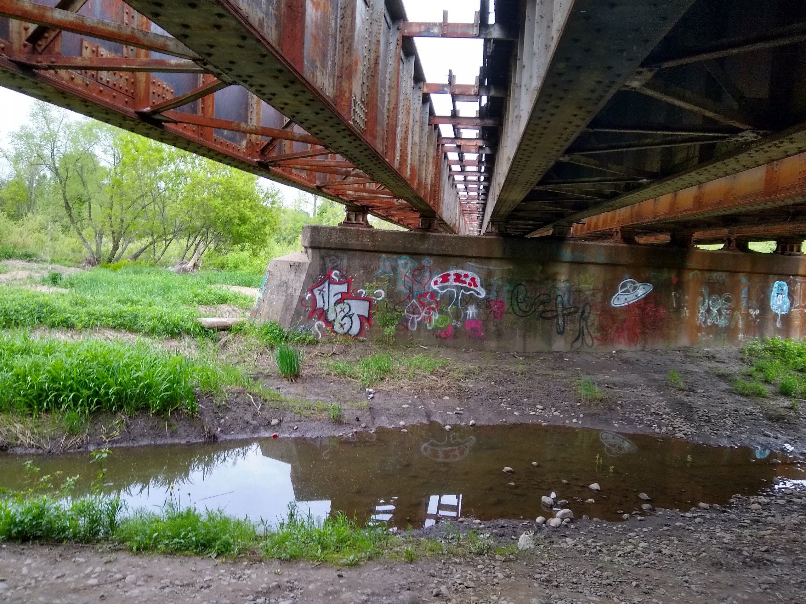 Train Over West Canada Creek Herkimer