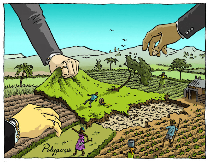 Land Grab
