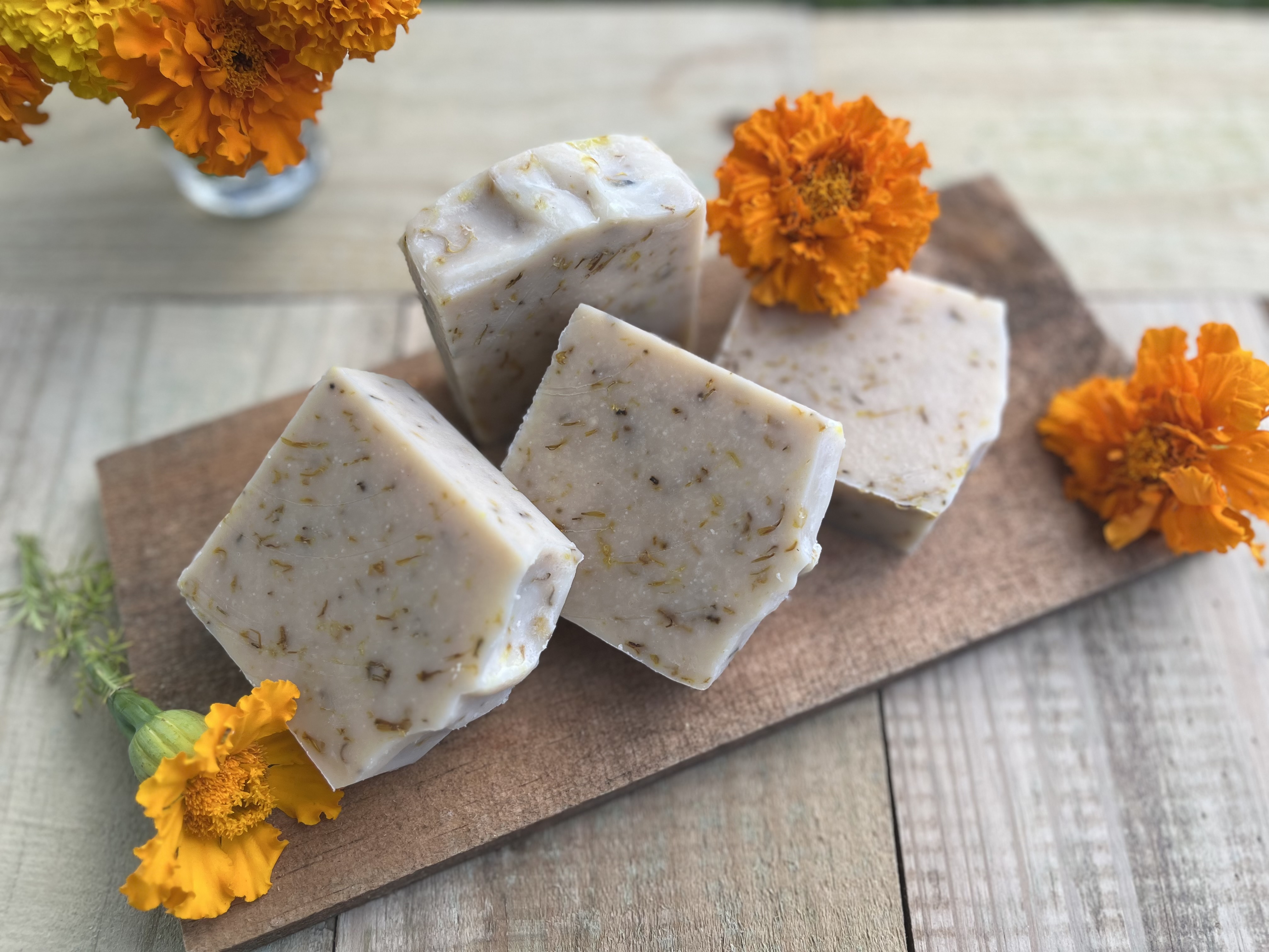 Calendula