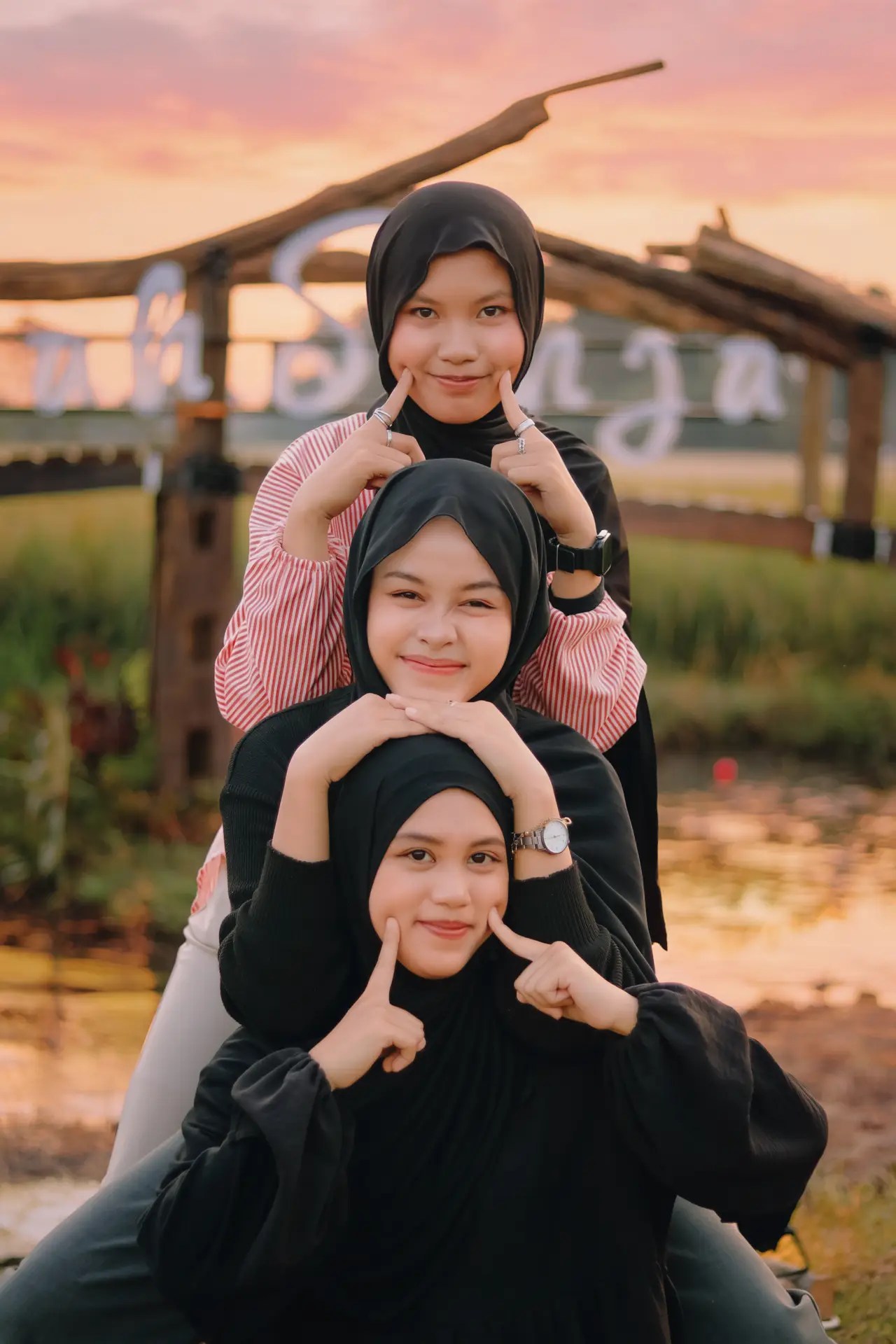Sawah Senja