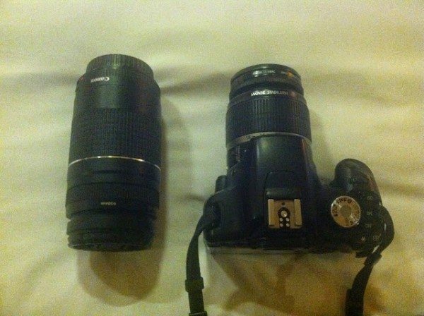 A zoom lens is important for wildlife photography.