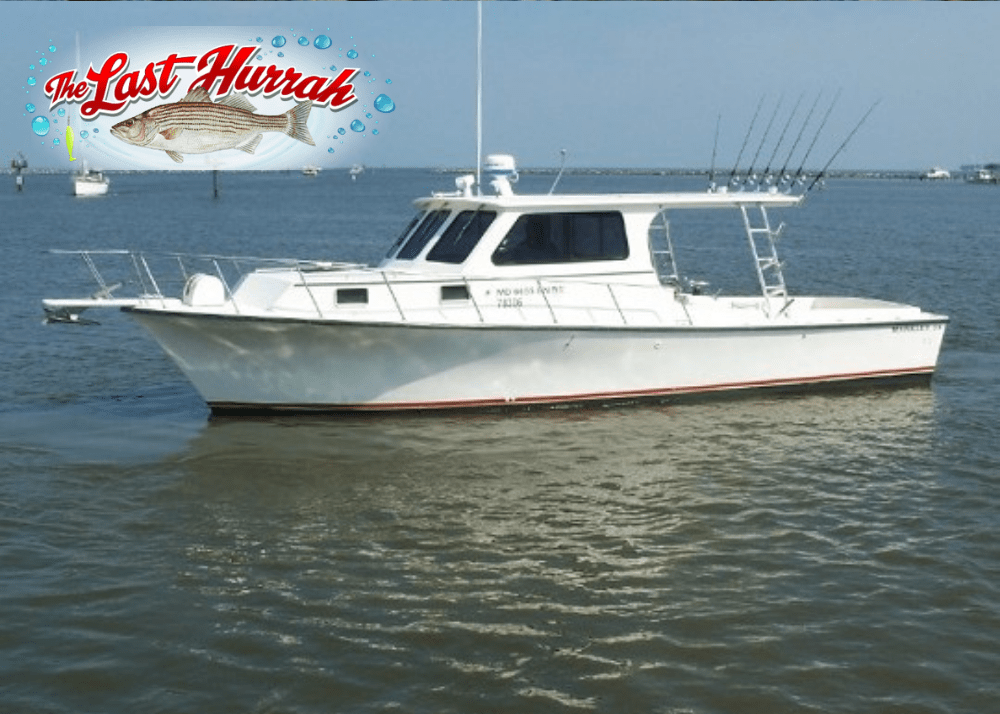 Looking for a fishing charter? Fishing Charters Herrington Harbour Marinas